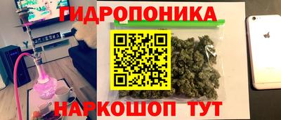 apvp Кунгур
